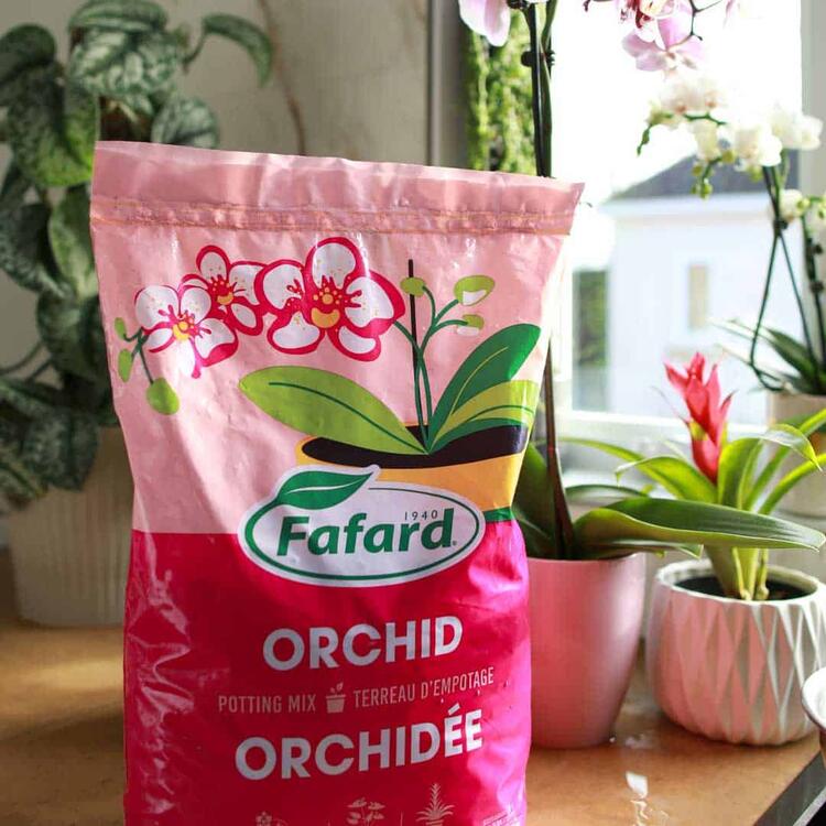 Terreau pour orchidées Fafard 8,8L